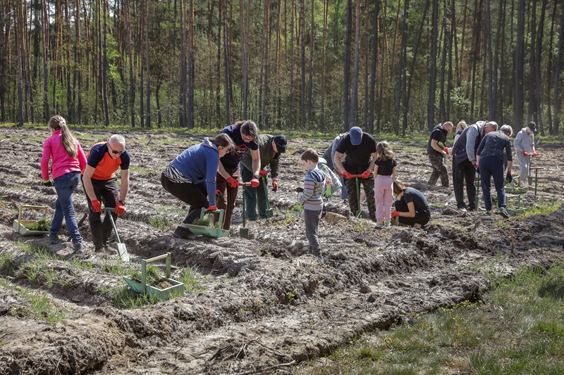 Radomsko zielony event AQUILA