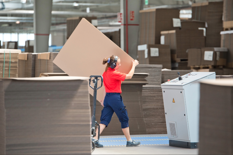 Pracuj w AQUILA tektura falista