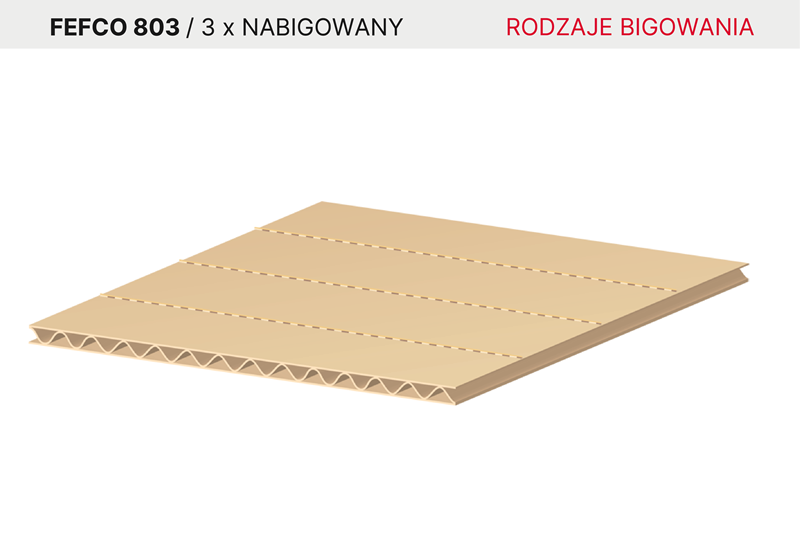 AQUILA tektura falista bigowanie