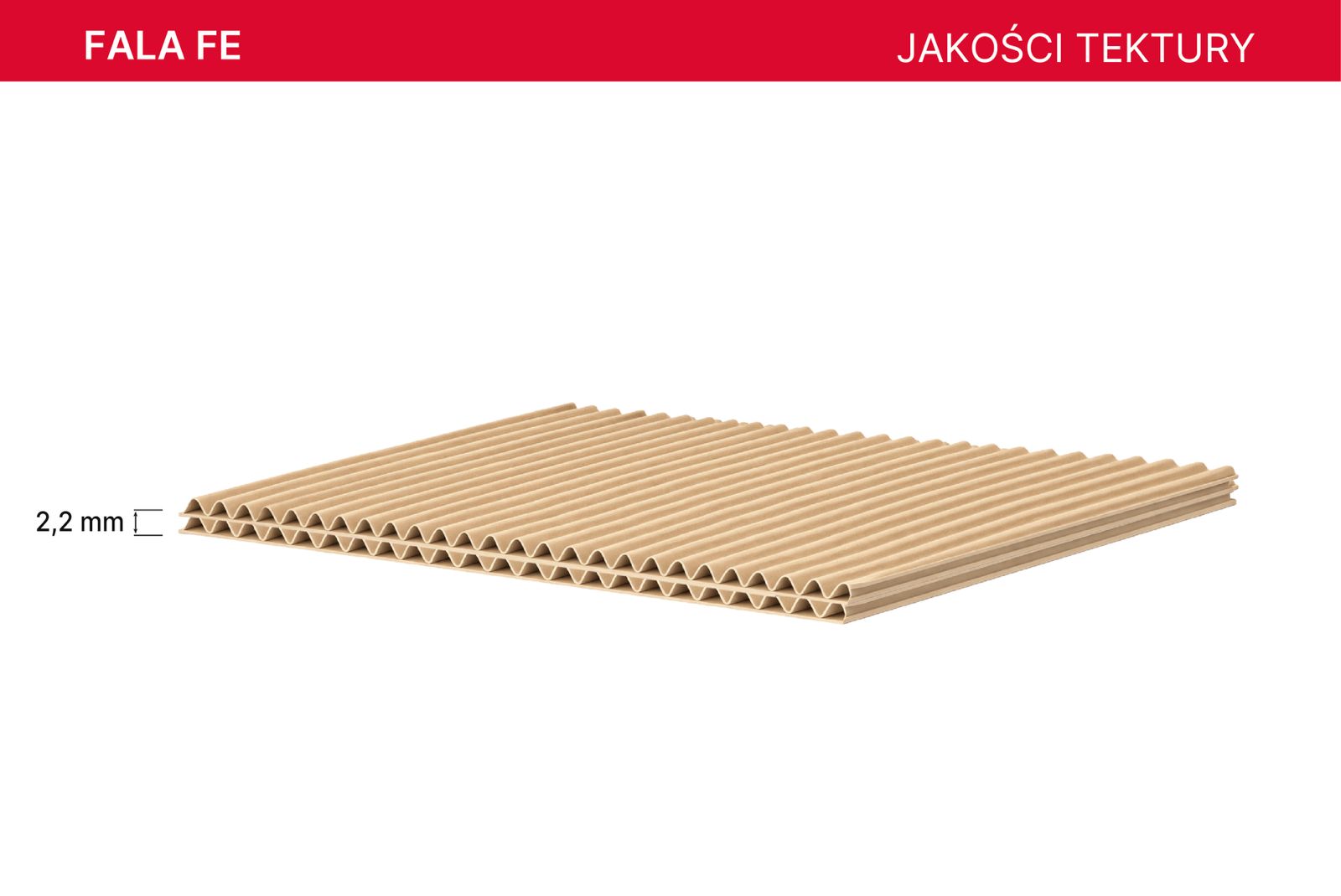 AQUILA tektura czterowarstwowa