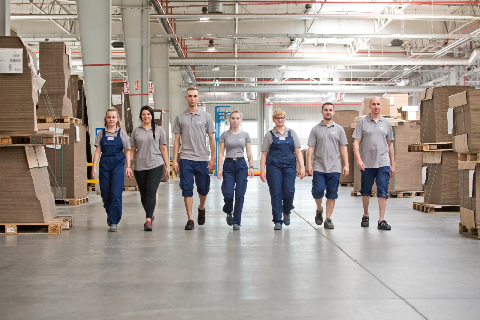 Zespół tektury falistej AQUILA