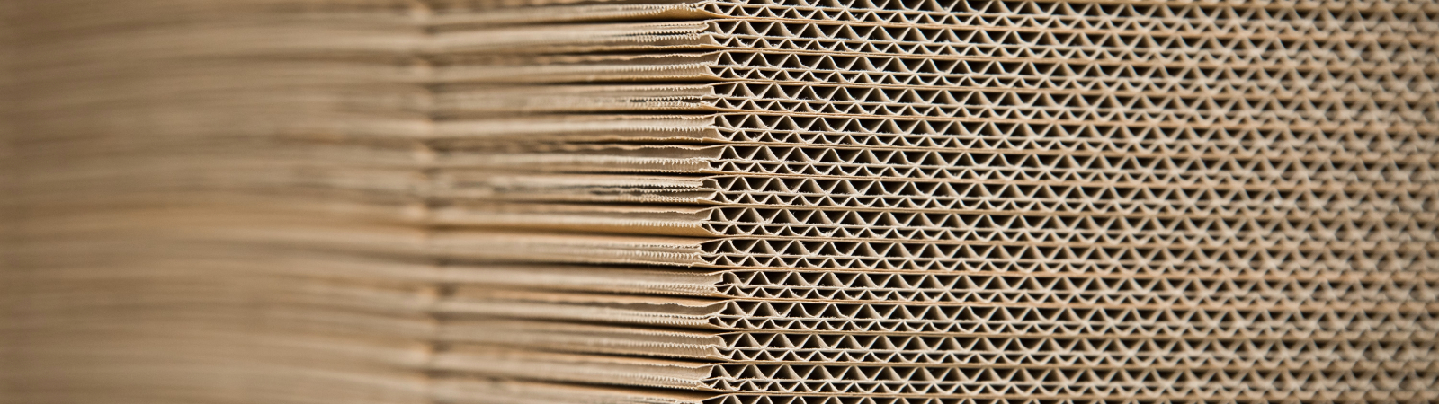 Fabryka tektury falistej AQUILA